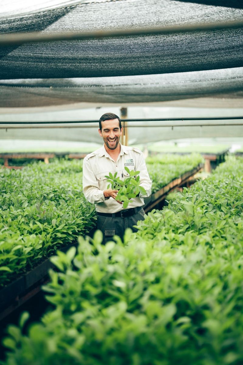 intelligentfood-schweiz-ag-homepage